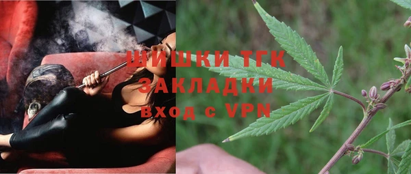 эйфоретик Алзамай